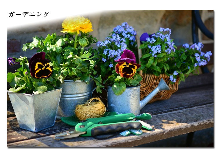 ガーデニング お花 植物 植木 花壇 肥料