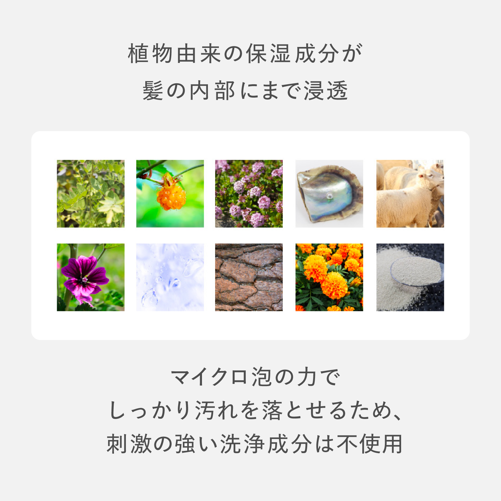 アデランス AWANIST スカルプ シャンプー トリートメント セット 美肌