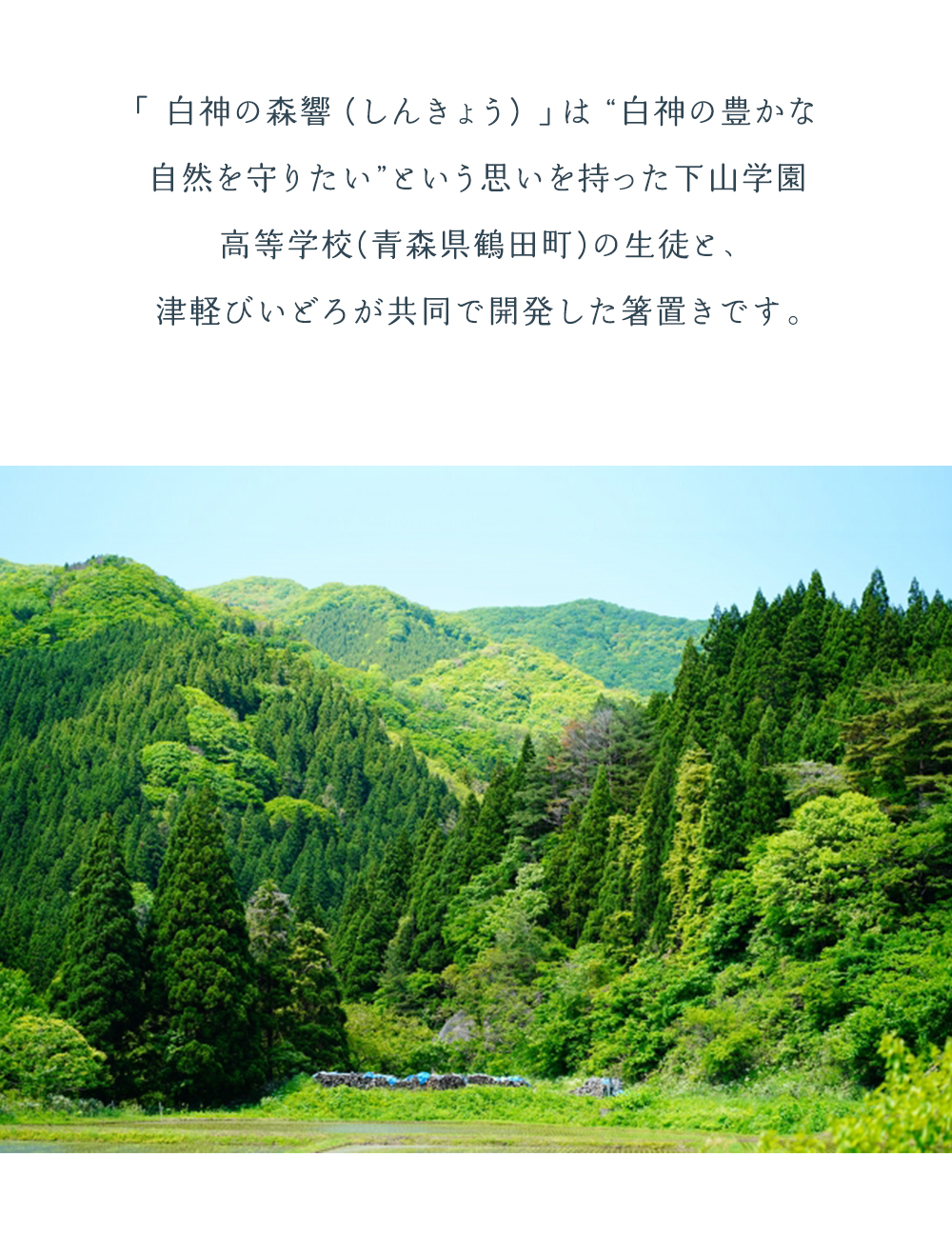 津軽びいどろ 箸置き おしゃれ 白神の森響 日...の詳細画像3