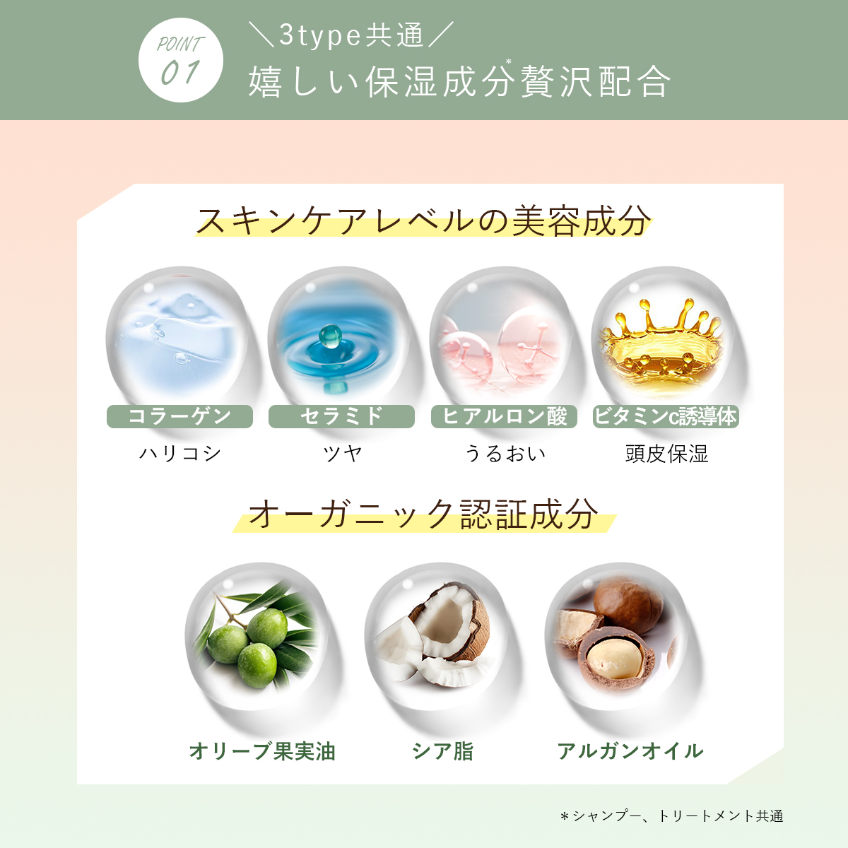 セットシャンプー オーガニック オルナオーガニック ヘアケア 無添加 ノンシリコン ALLNA ORGANIC 500ml 関連画像4