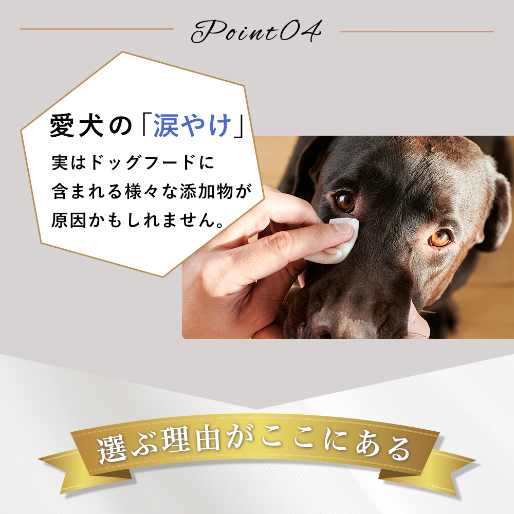 Amazon.co.jp: PAL&I（パルアイ） プレミアム ドッグフード 1kg