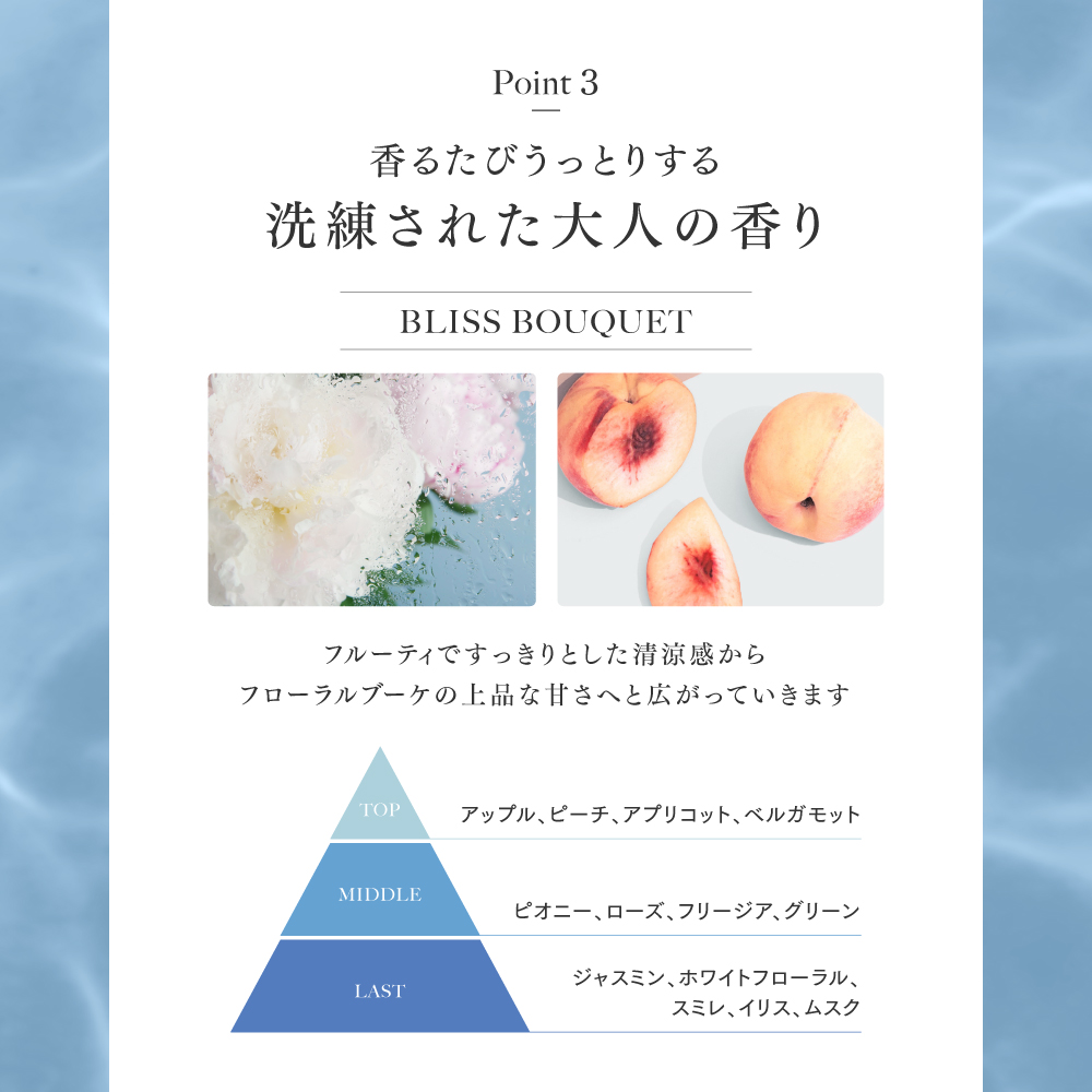 Q+ ( クオリタス ) シャンプー ＆ トリートメント 400ml ボトル