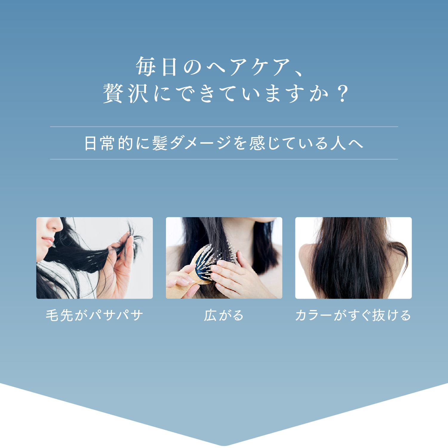 Q+ ( クオリタス ) シャンプー ＆ トリートメント ヘアオイル 各