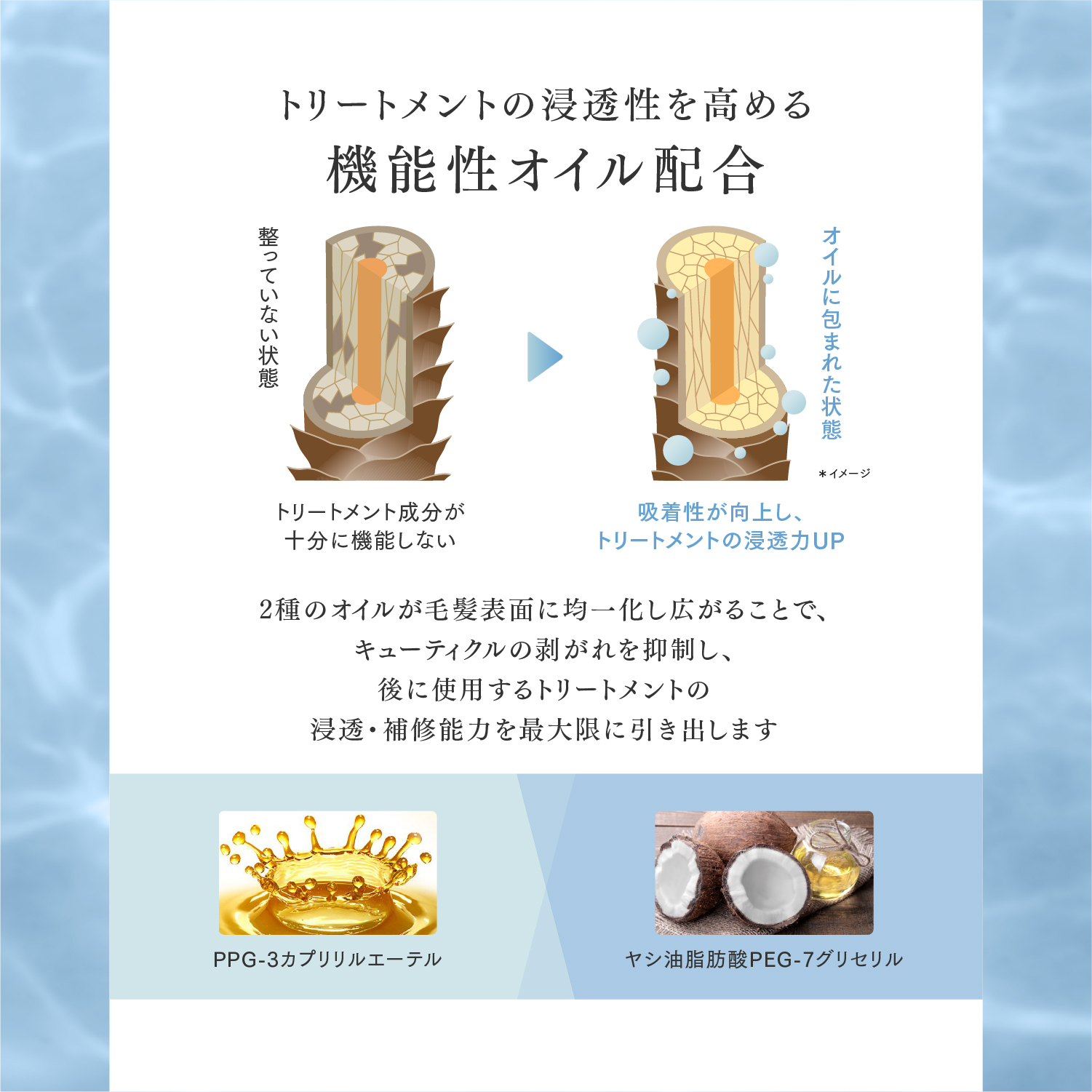 Q+ ( クオリタス ) シャンプー ＆ トリートメント ヘアオイル 各400ml