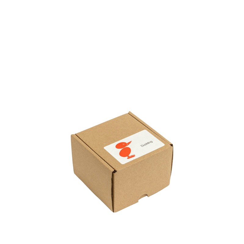 WA010B  Hans Boling Duckling