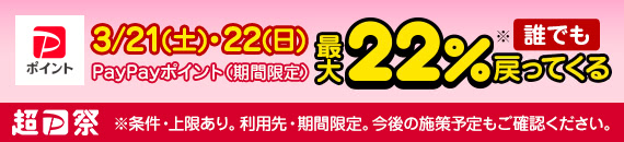 超PayPay祭