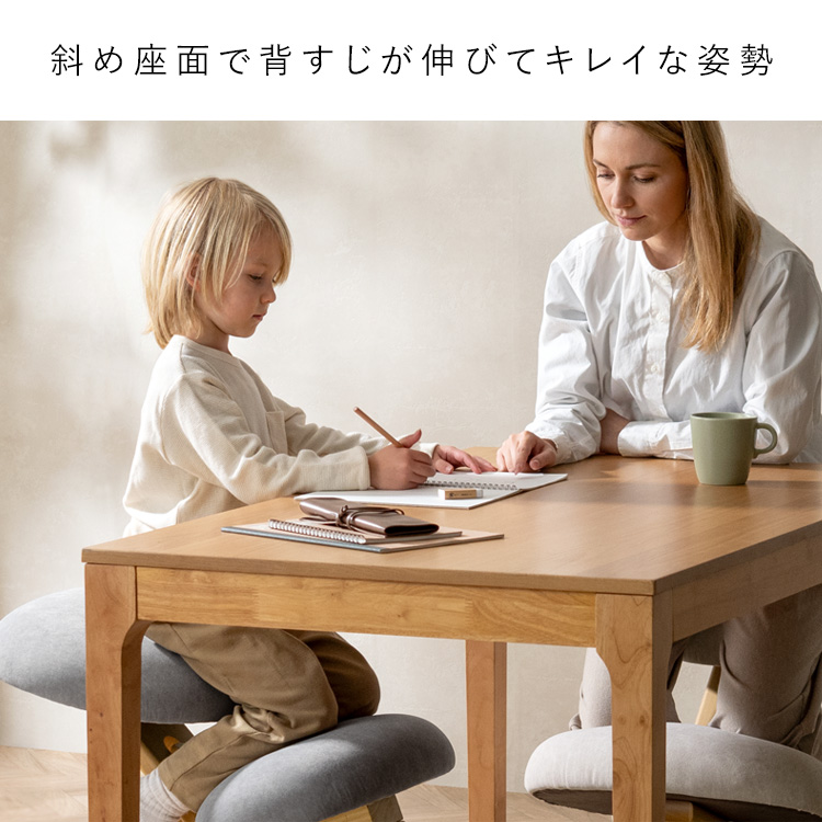 宮武製作所 プロポーションチェア SOLA（ソラ） バランスチェア デスク