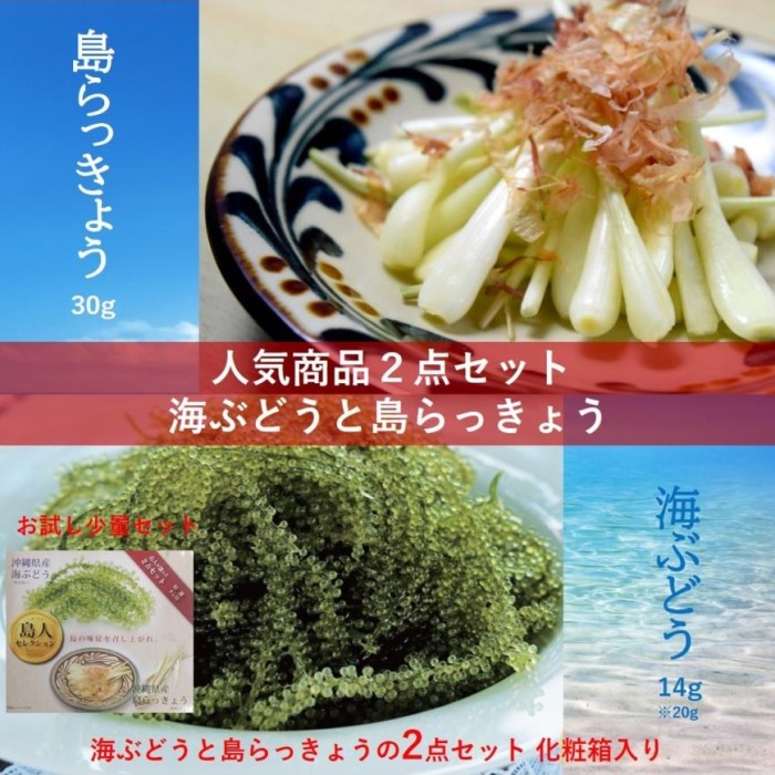 ワタガラス100g 5瓶 沖縄特産 わたがらす おつまみ 珍味 塩辛 沖縄 お土産 大城海産物加工所 送料無料