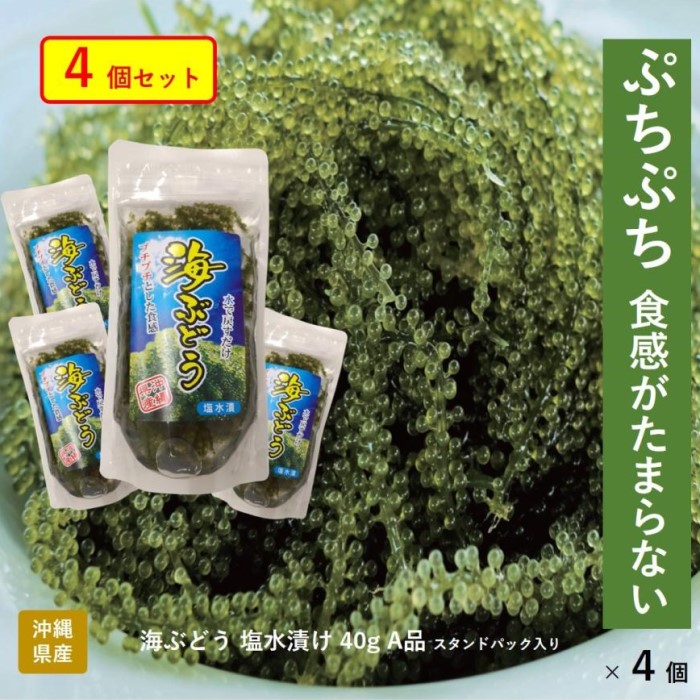 最終決算 沖縄県産 海ぶどう茎付き1000ｇ“ 商品の説明⚠️必読