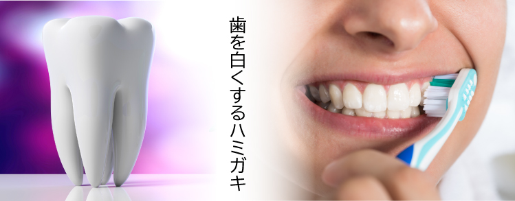 タイトル画像