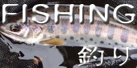 釣り フィッシング