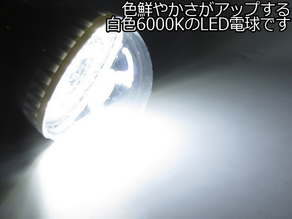 12Vキャンピングライト 48LED