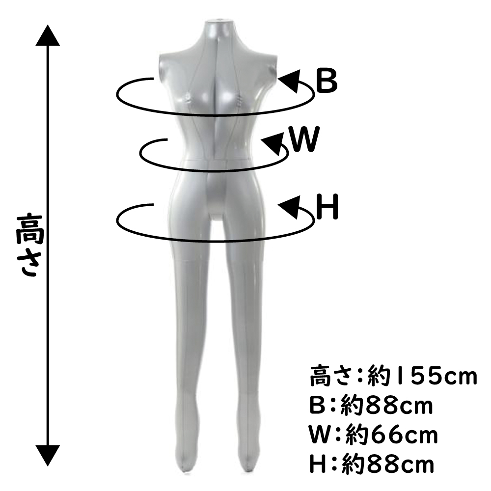 エアートルソー エアーマネキン レディース 全身タイプ