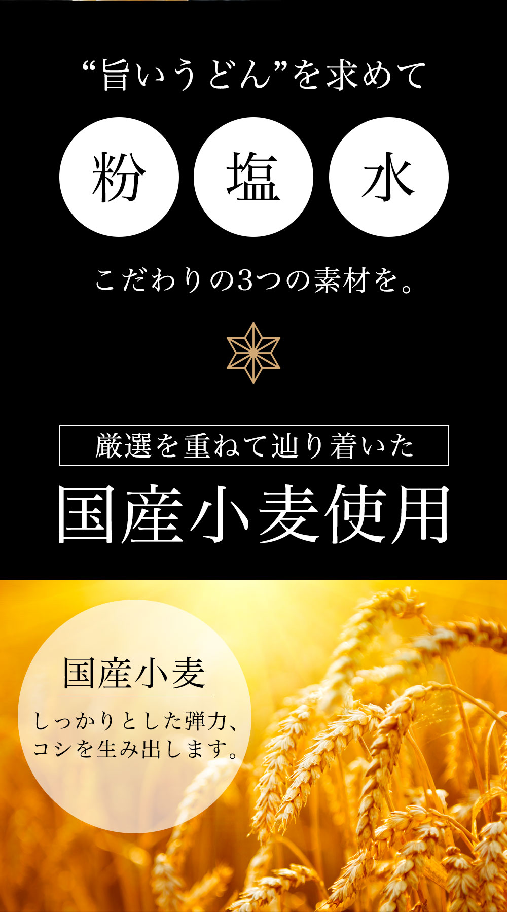 喜ばれる誕生日プレゼント 1000円ポッキリ 送料無料 讃岐 生うどん 約9人前 300g×3袋 900g うどん 生麺 生うどん麺 麺類 食品  グルメ ぽっきり 国産小麦 お取り寄せ ポイント消化 notimundo.com.ec