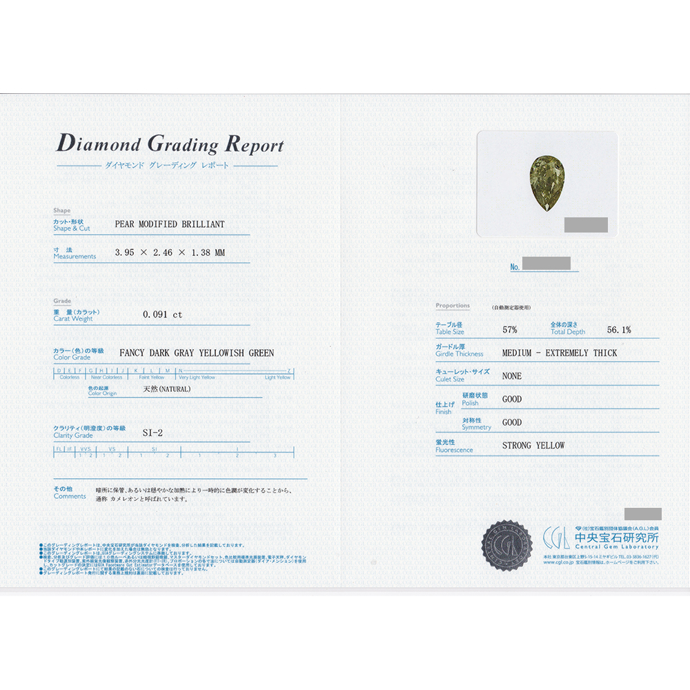 カメレオンダイヤモンド リング 0.091ct SI2 FANCY DARK GRAY YELLOWISH GREEN プラチナ Pt 鑑定書付の画像