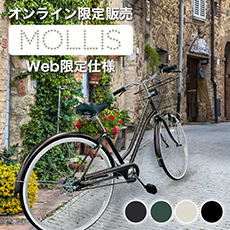 73：AEON BIKE　MERLETTO　ジャンク　引取限定：埼玉県所沢市 サカイサイクル ツーウェイバイク・ラン 14型 くすみグリーン