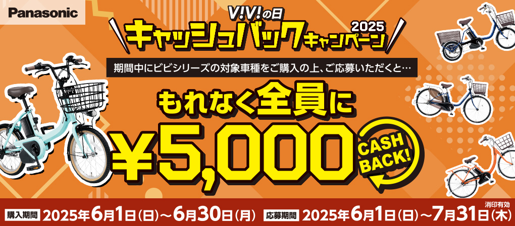 パナソニックViViの日キャッシュバックキャンペーン