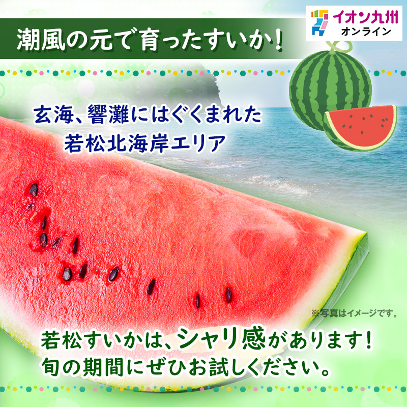 若松産すいか