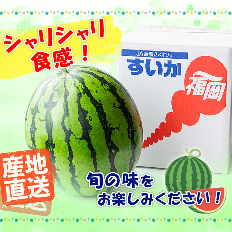 若松産すいか