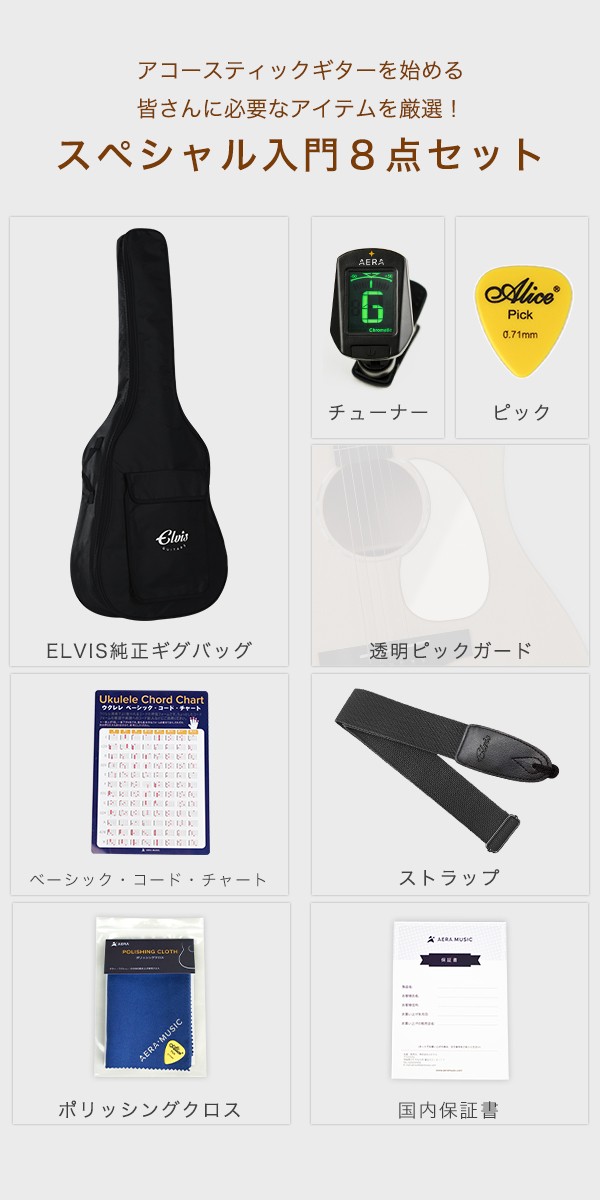 初心者セット8点】ELVISエルビス Master 1 アコースティックギター