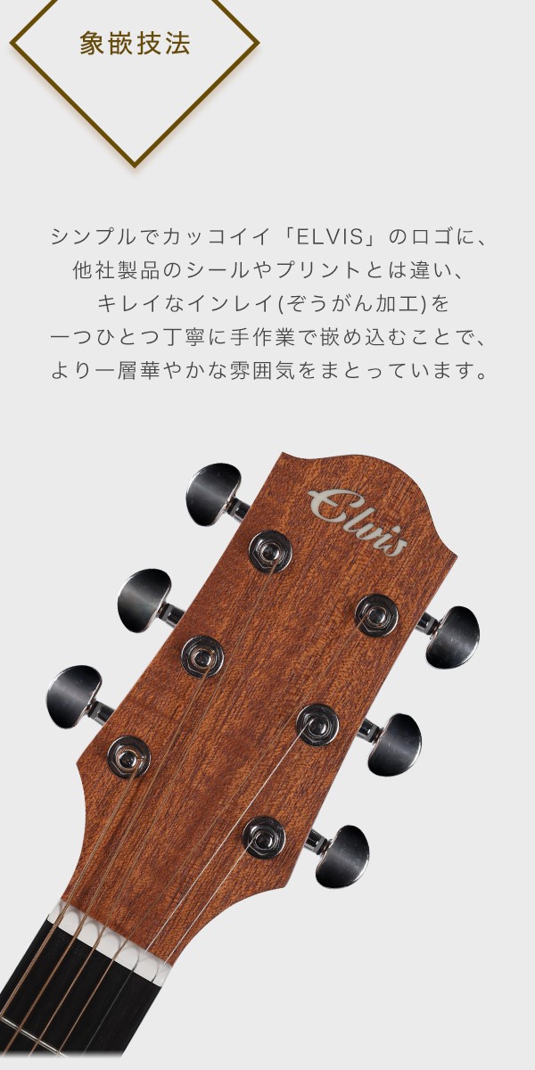初心者セット8点】ELVISエルビス Master 1 アコースティックギター