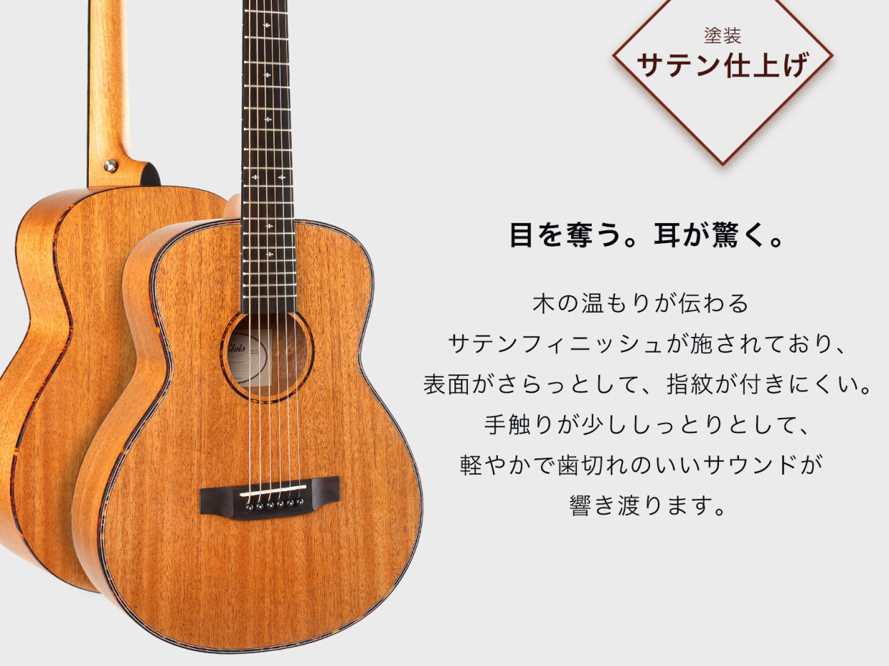 初心者定番9点セット】ELVISエルビス Master Mini 10・抱え 初心者定番9点セット】ELVISエルビス Master Mini 10・抱え