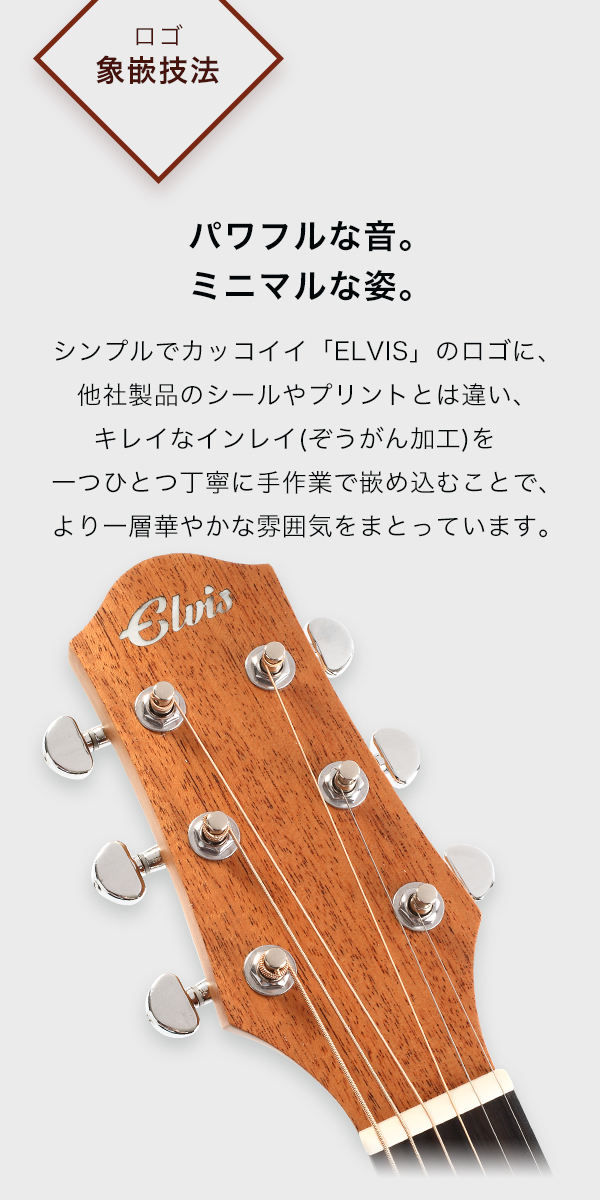 初心者セット8点】ELVISエルビス Master 1 アコースティックギター 