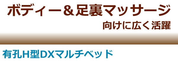 ポイント5倍) 有孔H型DXマルチベッド TB-587U 高田ベッド マッサージベッド 整体 施術用ベッド 医療 整体 業務用 -  growth-academy.de/index.php?