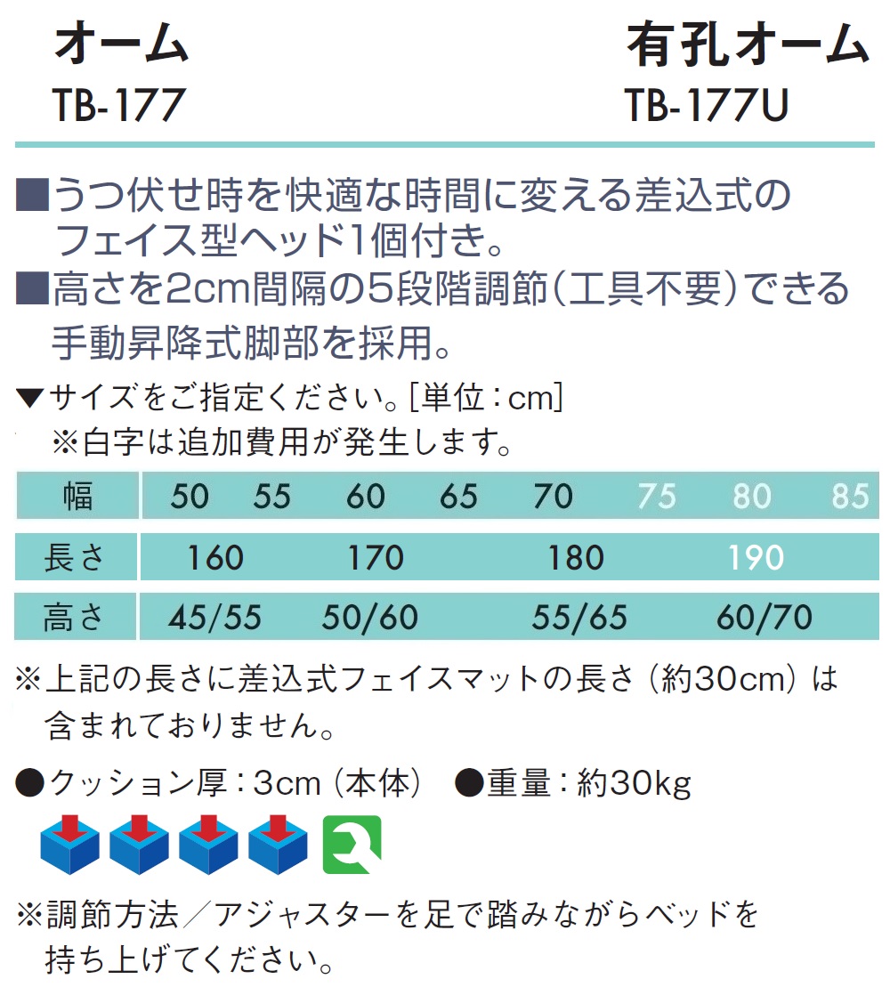 ポイント5倍) オーム（無孔） TB-177 高田ベッド 治療用ベッド