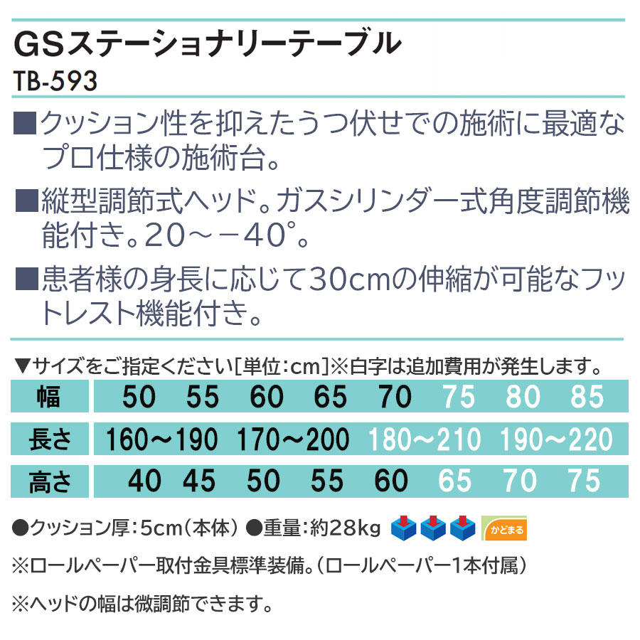 高田ベッド ＧＳステーショナリーテーブル TB-593 カイロベッド