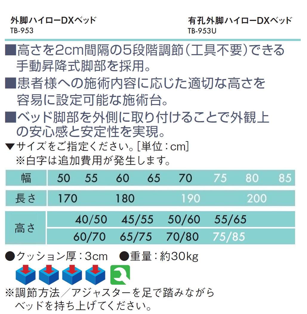 ポイント5倍) 外脚ハイローDXベッド（無孔） TB-953 治療用ベッド 高田