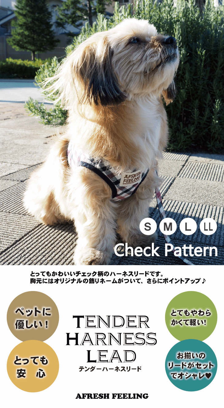 チェック柄テンダーハーネスリード Mサイズ ハーネスリード 胴輪 犬用