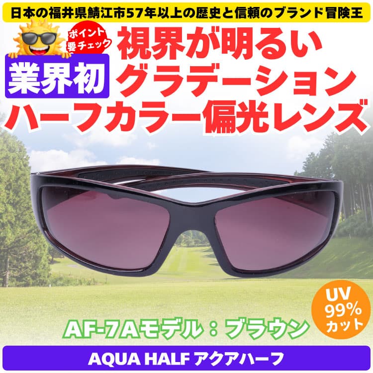 偏光サングラス＼業界初／視界が明るいグラデーションハーフカラー偏光レンズ 福井県鯖江市57年以上の歴史と信頼のブランド冒険王 CP5 |  | 01
