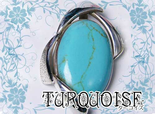 2025年銀相場高騰中＼史上最高値圏 投資目的／シルバー925ペンダントトップネコポス/ポスト投函 |  | 03