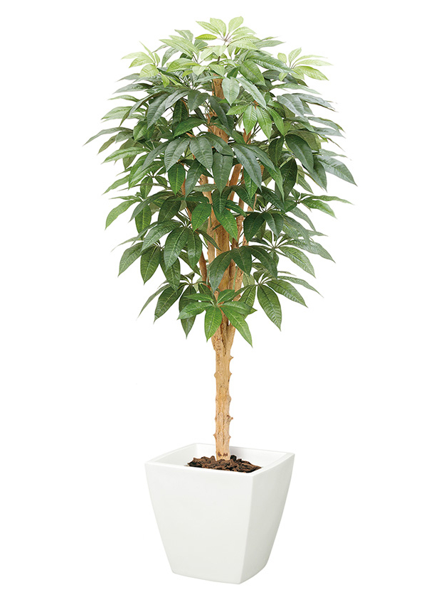 観葉植物(フェイクグリーン)