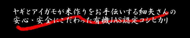純正コシヒカリ品種と有機にこだわる