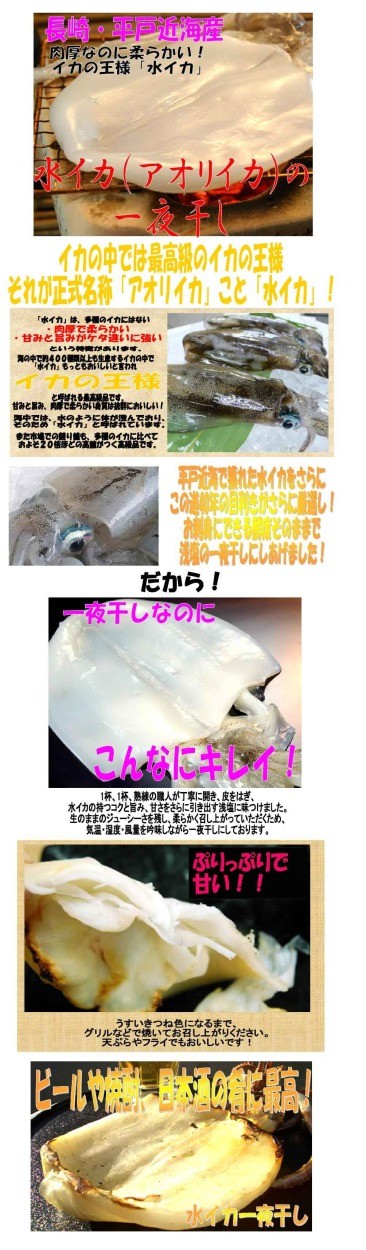 最高級水イカ一夜干し