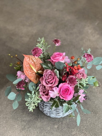 母の日 早期割引 退職 送別 誕生日 お祝い お供え お見舞い 結婚 アグレアーブル花や お祝い