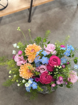 母の日 早期割引 退職 送別 誕生日 お祝い お供え お見舞い 結婚 アグレアーブル花や お祝い