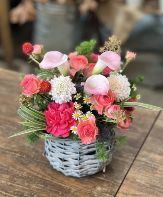 母の日 早期割引 退職 送別 誕生日 お祝い お供え お見舞い 結婚 アグレアーブル花や お祝い