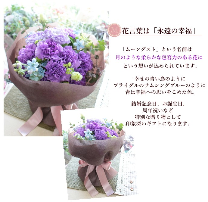 ムーンダストカーネーションの花束 クール便でお届け Pm Ssp Ma Gov Br