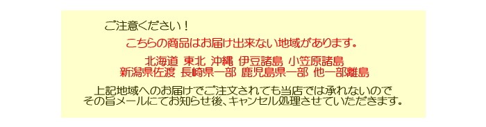 アレンジフラワー 墓花 仏壇 お彼岸 お悔やみ 供花 新盆 法事 四十九日 お供え 御供 初盆 お盆 一周忌 花 花束 お墓用 自宅用