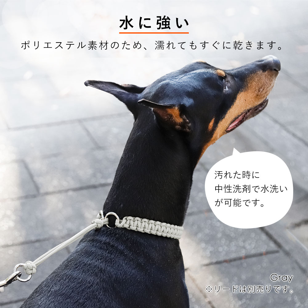 犬 首輪 犬の首輪 犬用 首輪 おしゃれ ブランド 革 大型犬 中型犬 小型犬 カラー 軽い 痛くない 優しい パラシュートコード 散歩 日本製 :  100063990-01 : アグレス - 通販 - Yahoo!ショッピング