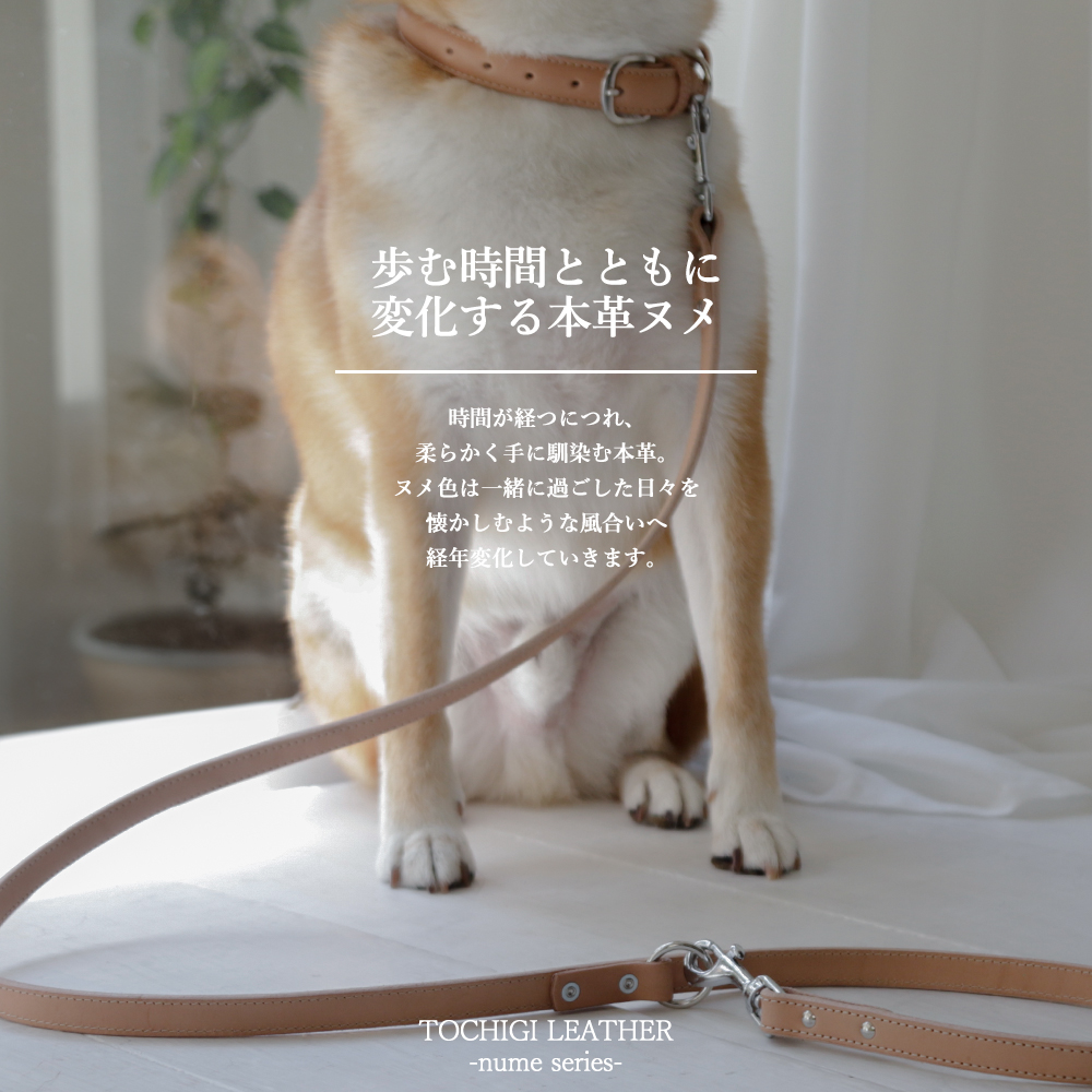 犬 リード カフェリード おしゃれ ブランド 革 中型犬 小型犬 本革 革