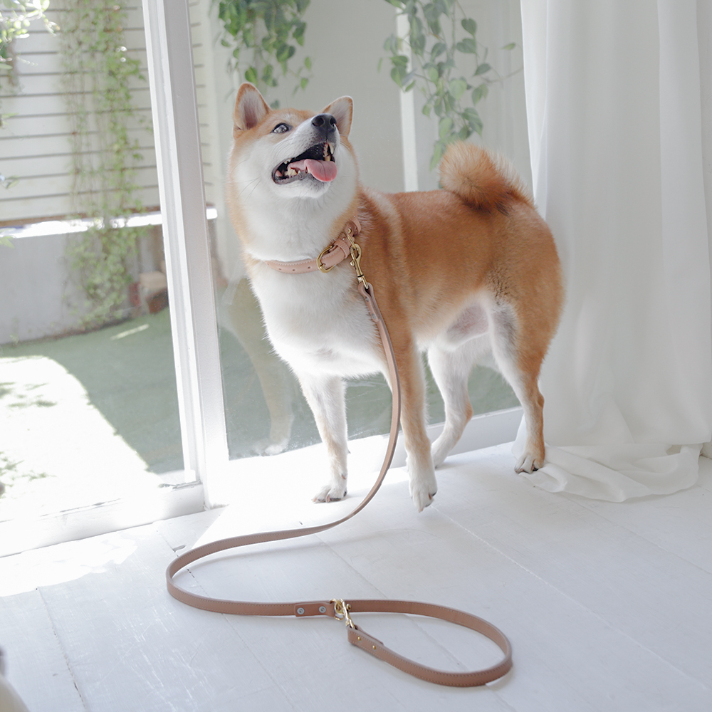 犬 リード カフェリード おしゃれ ブランド 革 中型犬 小型犬 本革 革