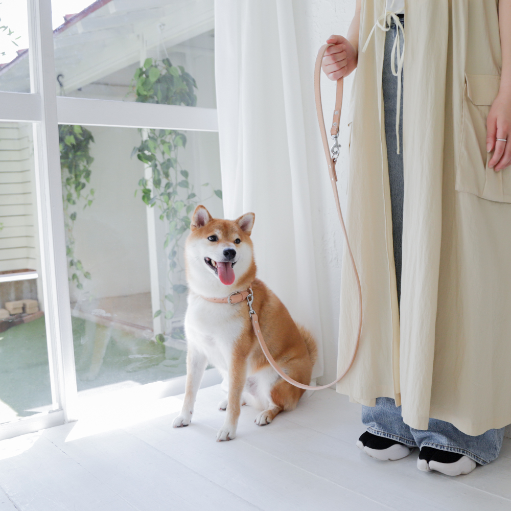 犬 リード カフェリード おしゃれ ブランド 革 中型犬 小型犬 本革 革