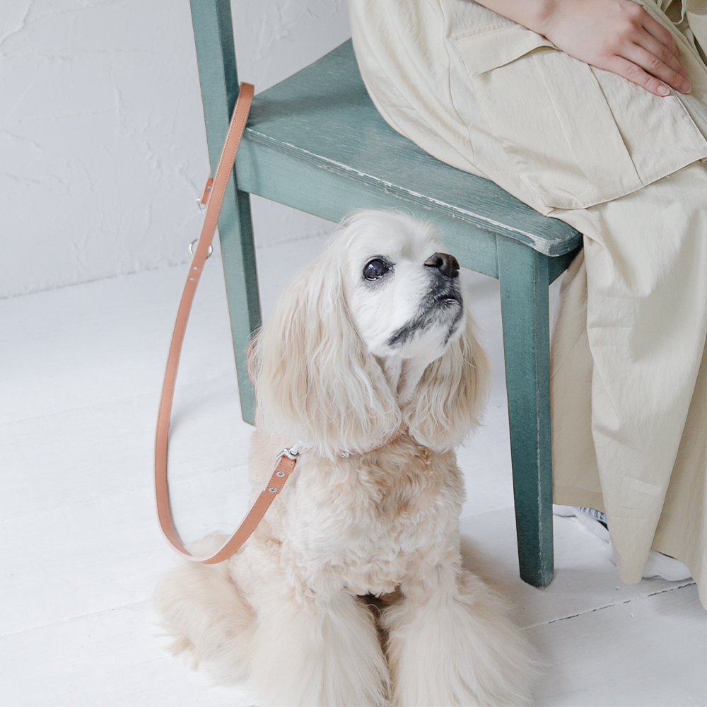 犬 リード カフェリード おしゃれ ブランド 革 中型犬 小型犬 本革 革