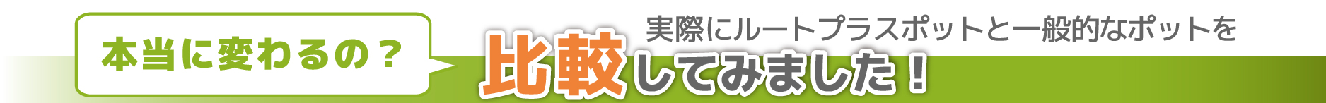 実際にルートプラスポットと一般のポットを比較してみました！