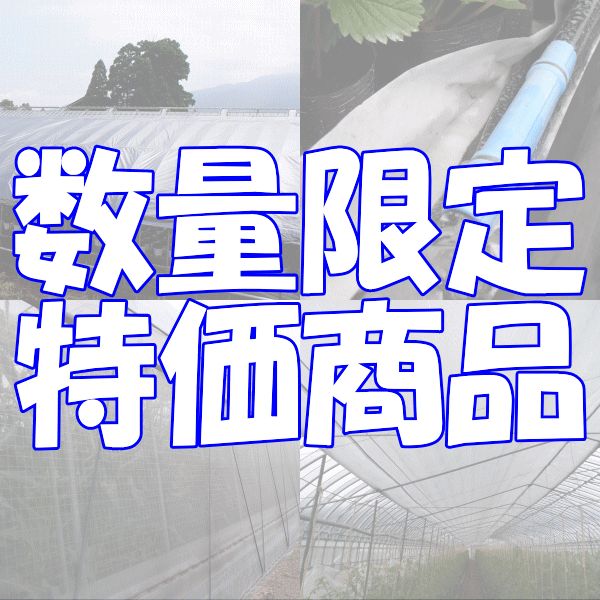 特価セール