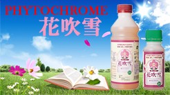 水稲用特殊肥料コメとれーる 50g : kometoreru : アグリマートYahoo!店 - 通販 - Yahoo!ショッピング